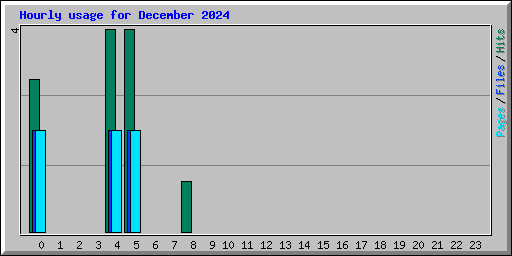 Hourly usage for December 2024