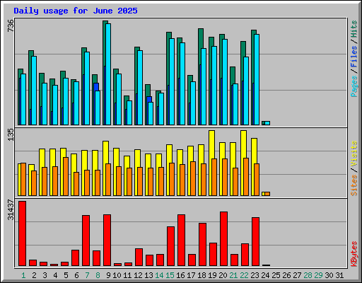 Daily usage for June 2025