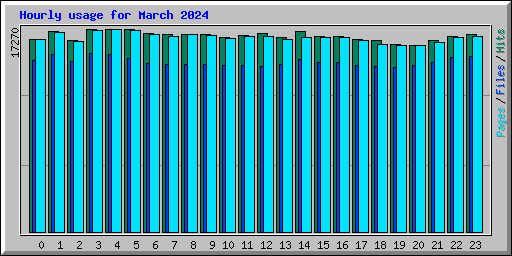 Hourly usage for March 2024