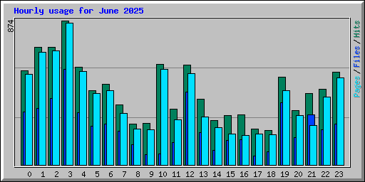 Hourly usage for June 2025