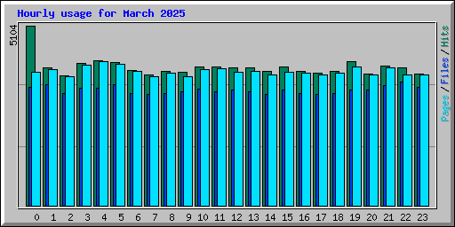 Hourly usage for March 2025